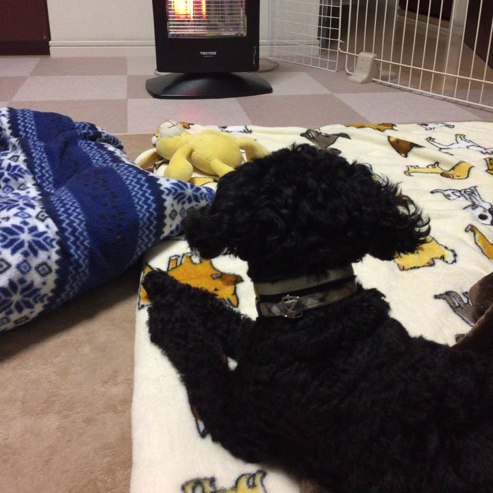 9b9e864a 96a9 4f87 aa81 0df168b570ba