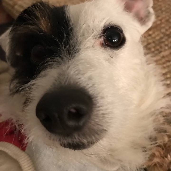 9b9e95af b0e3 4433 a55b 4d00c858e734