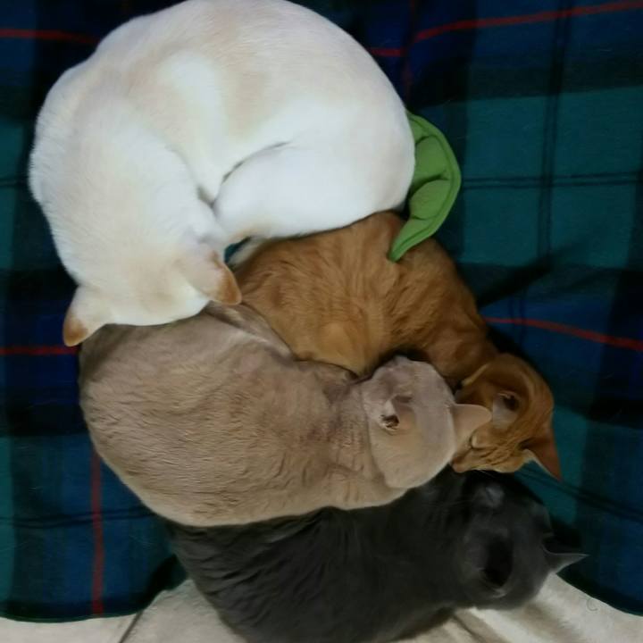 9b9ed8fe c901 4b71 a765 5f6d6ff468d2