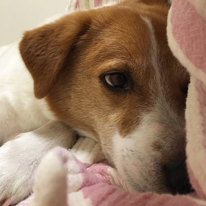 9b9f1c46 b556 4fba a317 b3f74edc9f7c