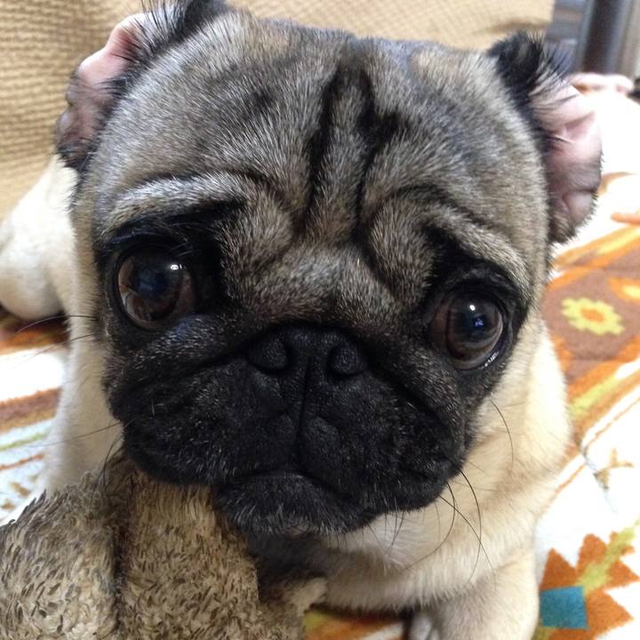 9b9f486d af21 4dcb 87b2 9205c04eec5c