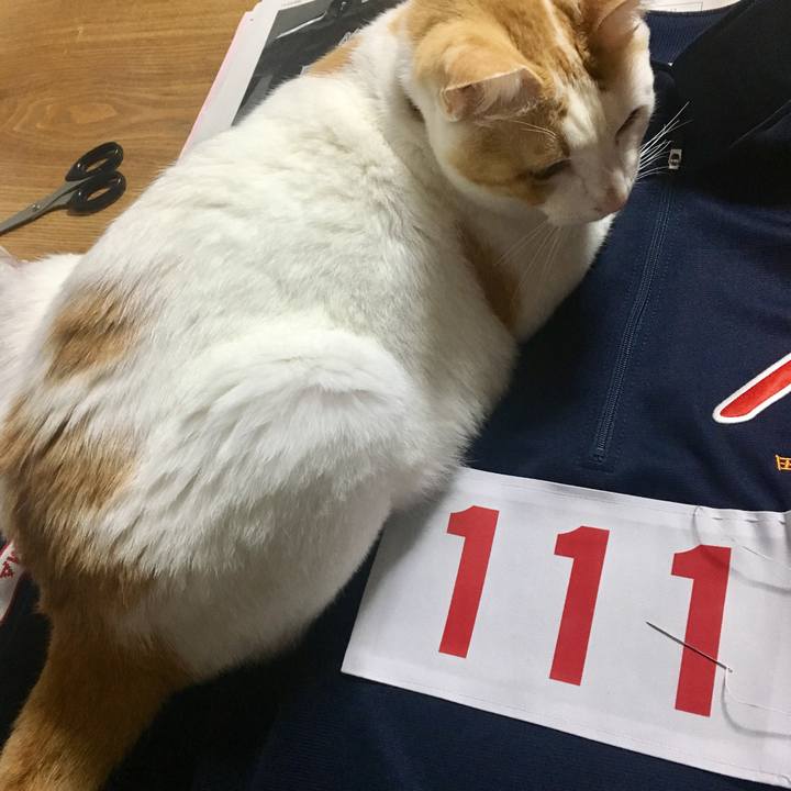 9b9fa20d fd1a 4b6e a105 d41261f5ea6f