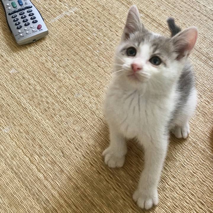 9b9fbf5d 0d9b 4e63 b3be c280bad1e8fd