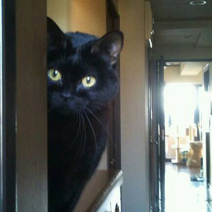 9ba0c394 1a51 498e 9c34 dd7c477eeb14