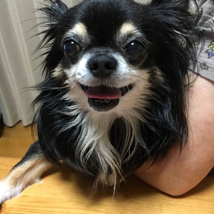 9ba14b24 dc68 4e9a ba75 00a7ea9114f1