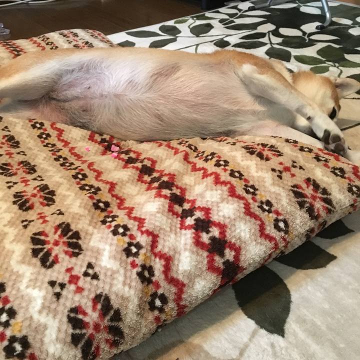 9ba14bcc bbc8 4d68 91b7 972f14798917