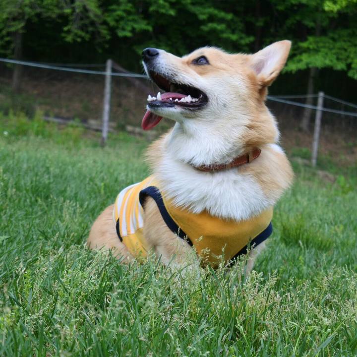 9ba1ff50 4293 4e4b b810 38a6af6dc9da