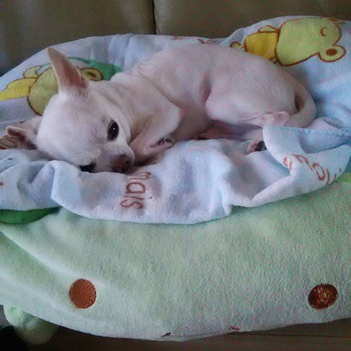 9ba26335 cc31 4441 954c 6b36db61fb24