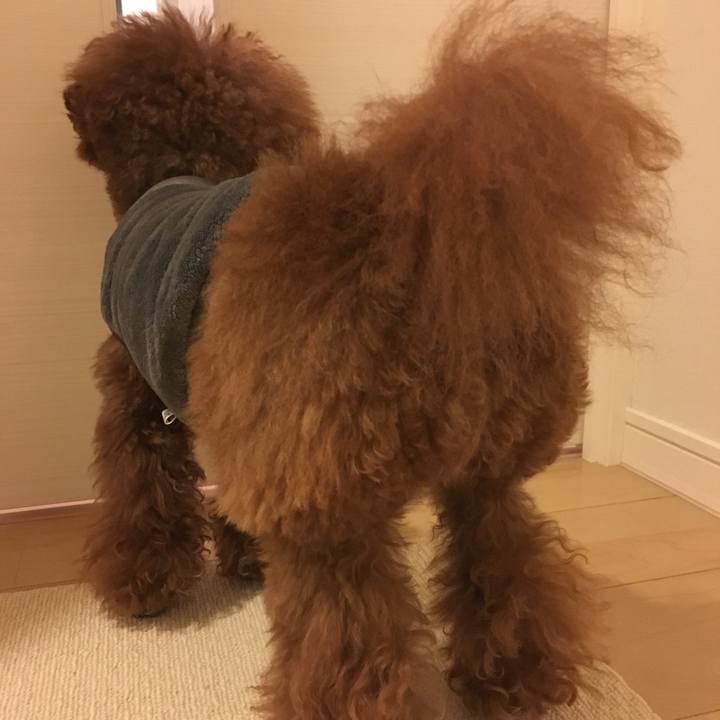 9ba31941 783f 49ab ab3c 63b28edef5f2