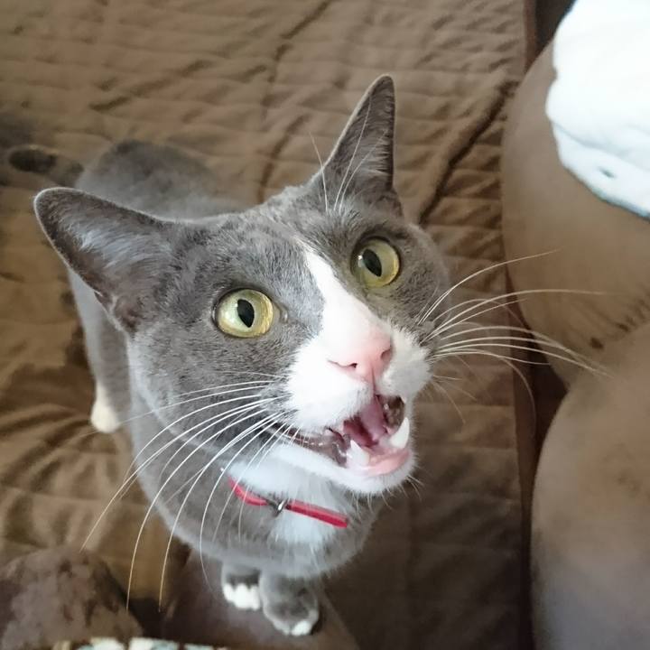 9ba3d378 9195 4338 9f0e def02cc2566d