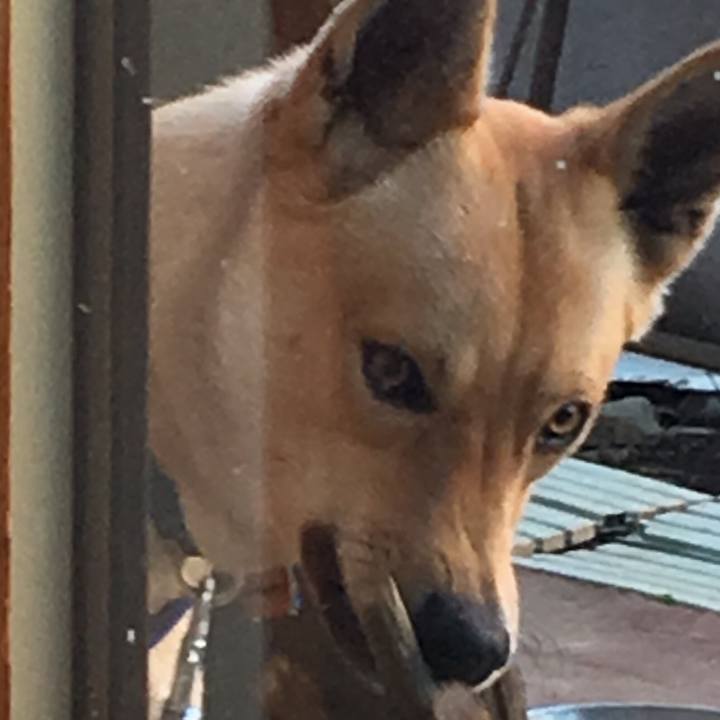 9ba408e5 0f81 4581 8b87 832c98a30217