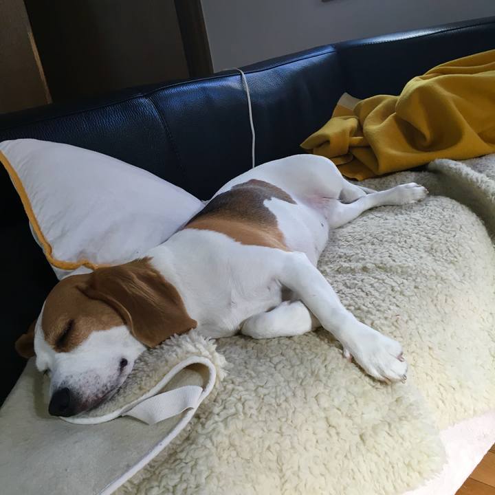 9ba41325 cd96 4ce0 af86 02c83b3864bb