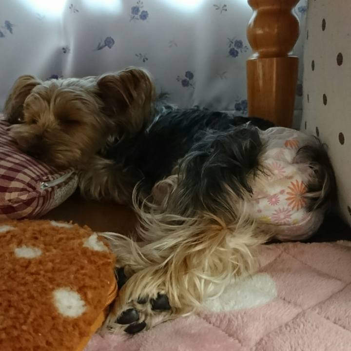 9ba48eaf 1a2f 4964 bd5a a81dbd9953b3