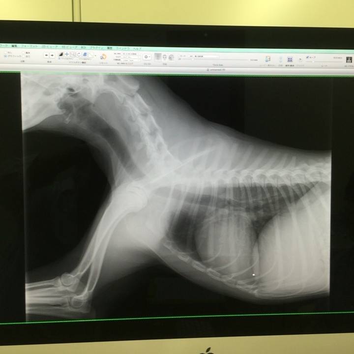 9ba4cb09 9a28 44c3 b07f 84d43dd379b4