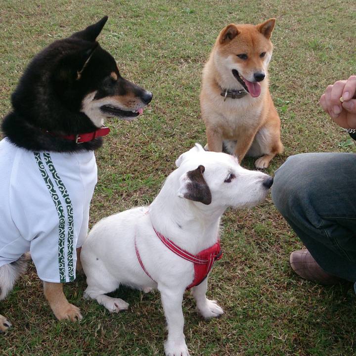 9ba53277 4729 4fa1 8442 fbe71f214f18