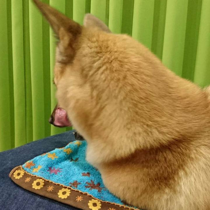 9ba61ecc 71dc 448b b80a aba40258c5e3