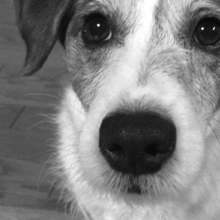 9ba64492 cc9e 41ed 9d44 67d0e1d71d44