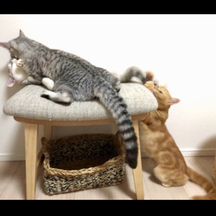 9ba6dd17 95bc 48ed 9ccc bd8691ead919