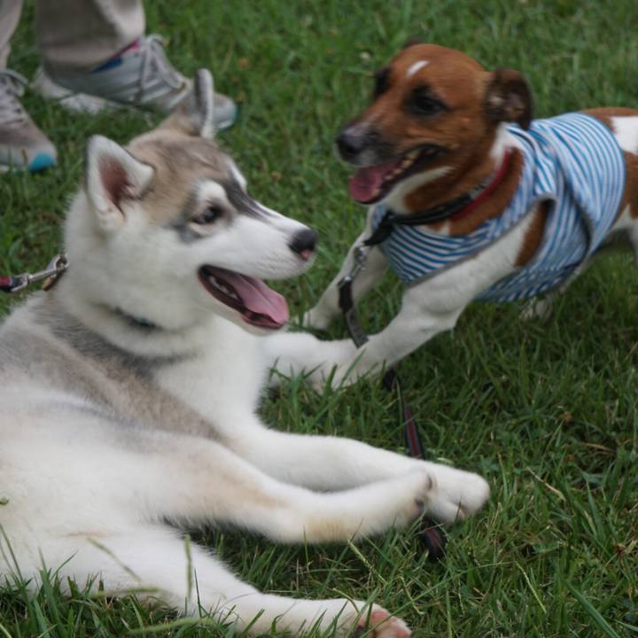 9ba73050 9174 41af 93cb 2e724618d15c