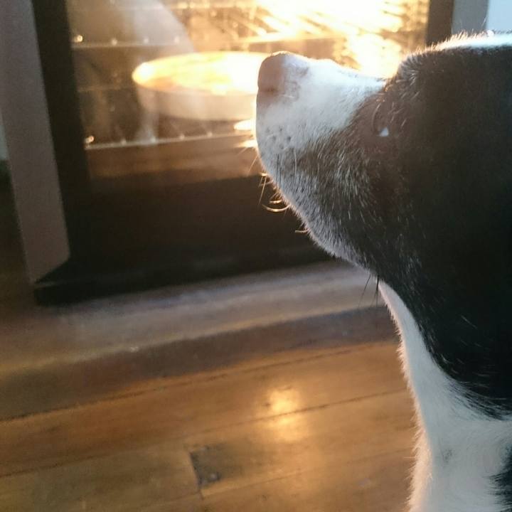 9ba7dcac 302d 4923 bb7f 0e5c9128fc26