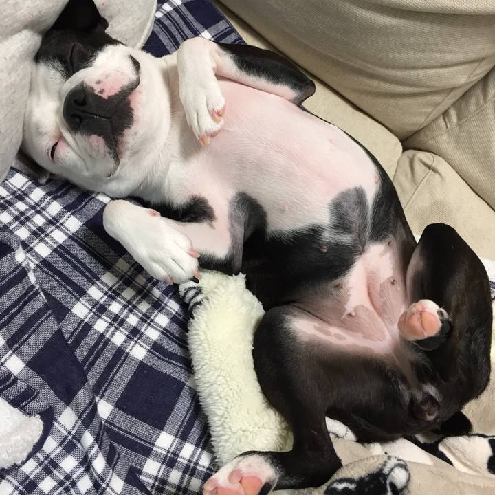 9ba82b97 577a 4387 82ba 7bcf602b0ecb