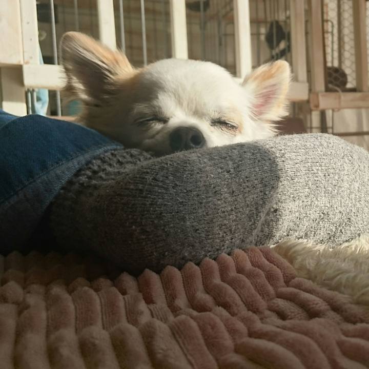 9ba88e21 35ec 44d2 b3b9 9216caa8580f