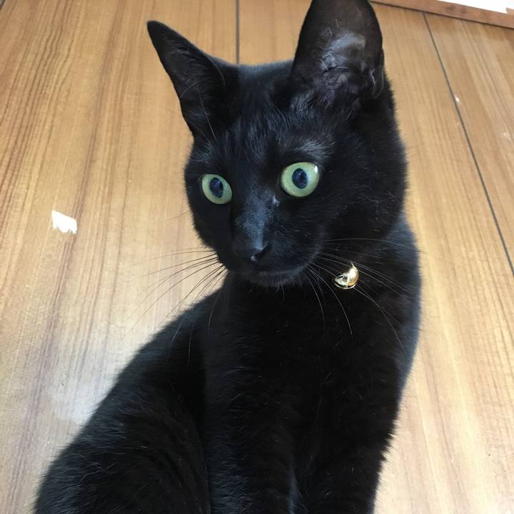 9ba8aa43 16ee 40f7 bf80 6b74d71a9a28