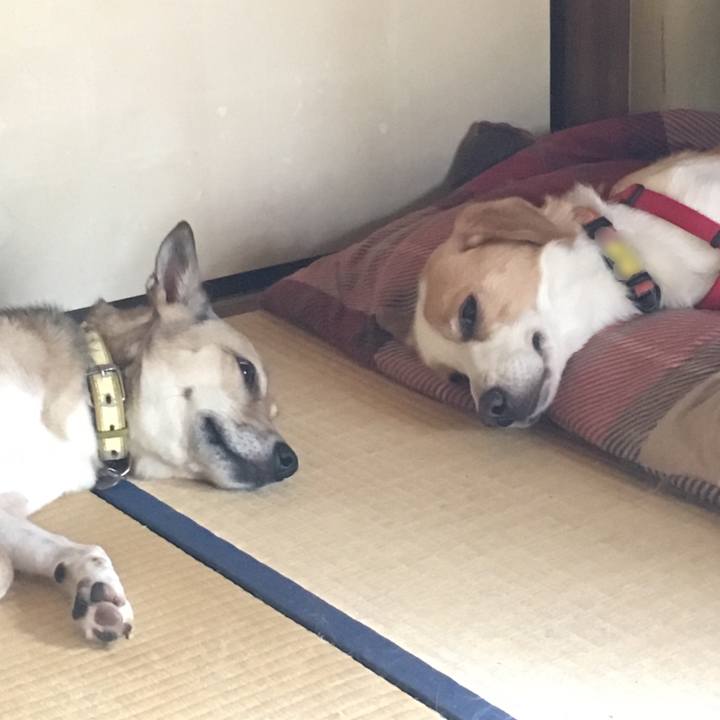 9ba959dd ee50 4ca3 ba3b 15e5c1c00924