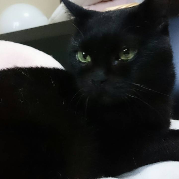 9baac6d1 7705 4d21 bbf7 1f058fff9afd