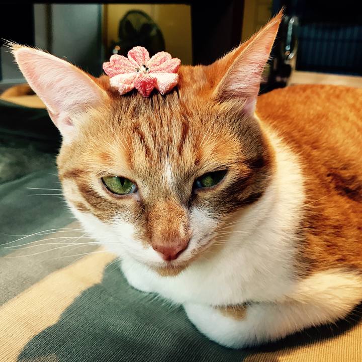 9baae933 65f7 49e6 9b3f ae4b04e444f6