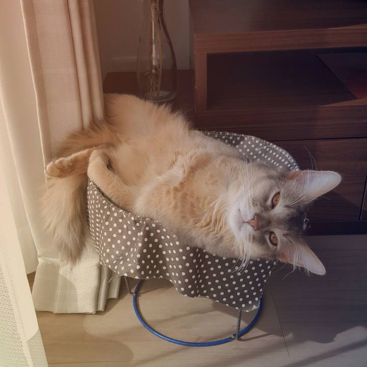 9baaf23f d98c 4e53 a553 2f7b09792f89