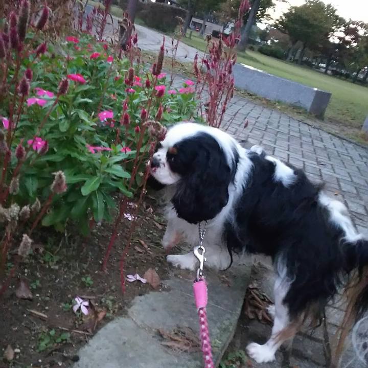 9bab2623 1799 414a a56f cd56308154c0