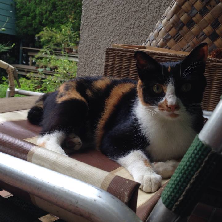 9bab9ffd d93b 4cd4 8b4c 5154d496de12