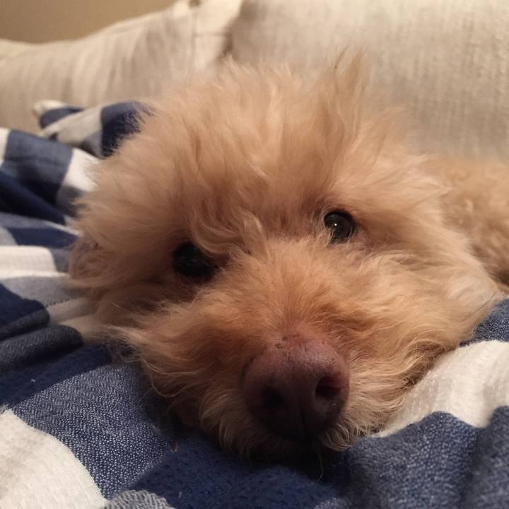 9babdf13 88f2 4498 b577 bb570e75a0aa