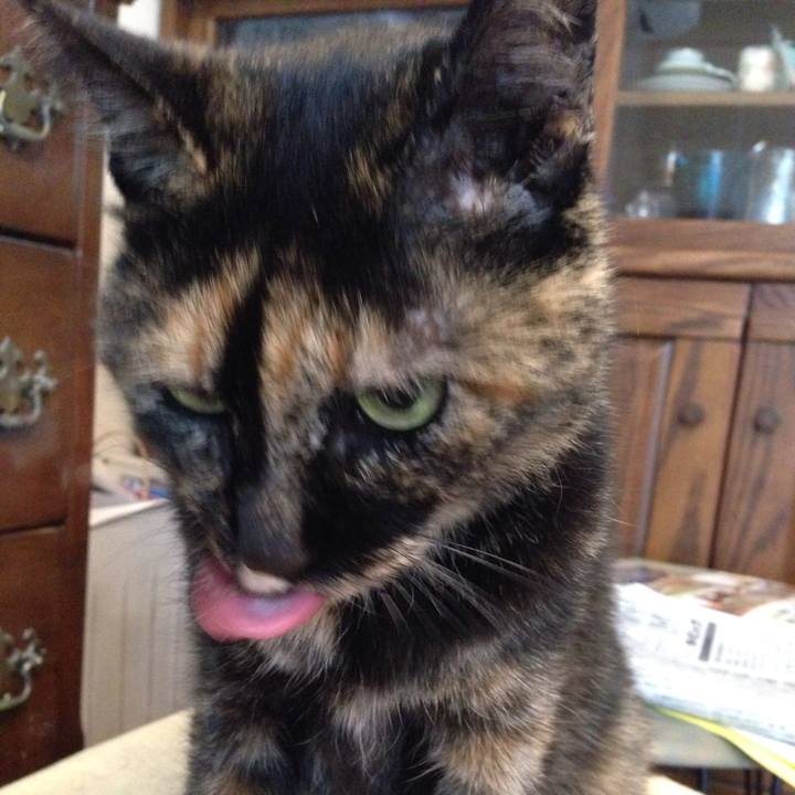 9bac16fd c3e6 473c a5dd 321ef5c79839