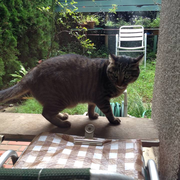 9bac5f00 8a9a 4cd4 ace4 b4c0fd48f9a6