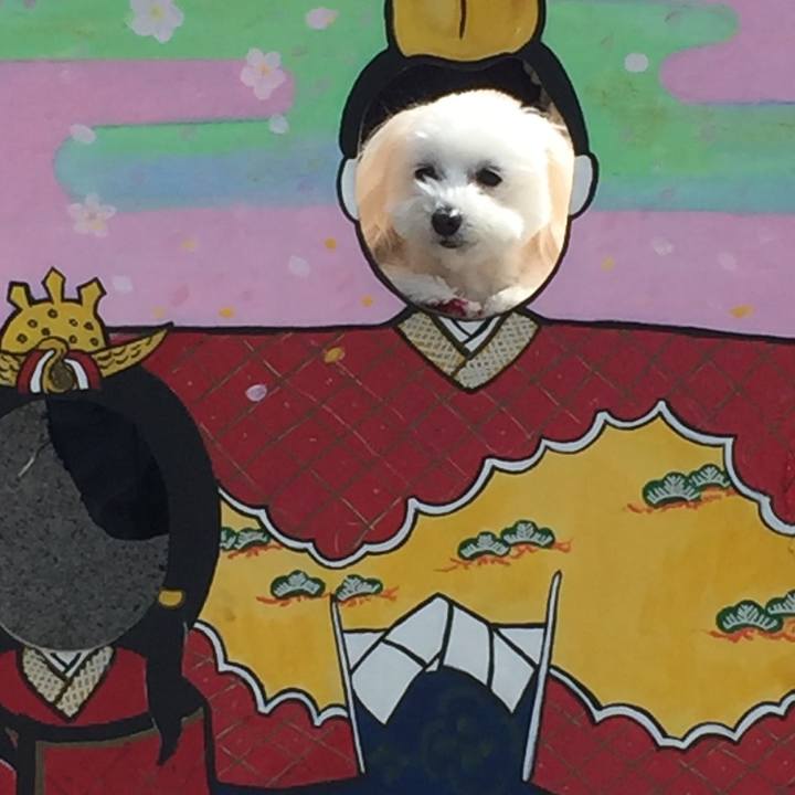 9bac6b97 2068 41aa a5a4 4dbea0524af2