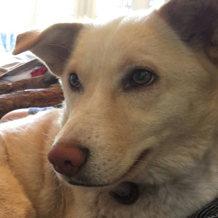 9bacf285 88c4 4b88 8df6 b26cdfada3f0