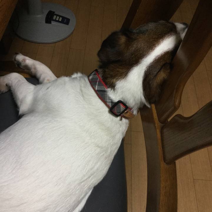 9bad11a4 8987 497b 83fa 883c8306a1f2