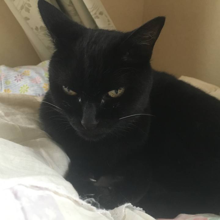 9bad2fb9 472a 4776 b6ce 6b563091c910