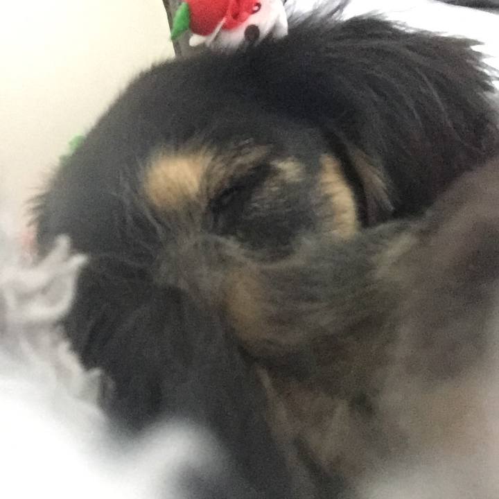 9badc889 d42c 4518 9d84 2034472da11f