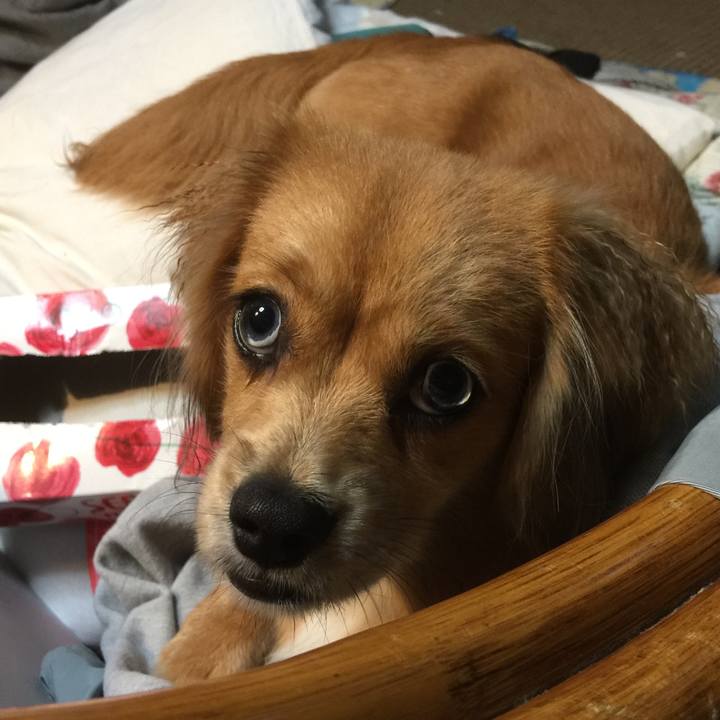 9badcf1e e8a8 48d7 b181 c1d54152273f