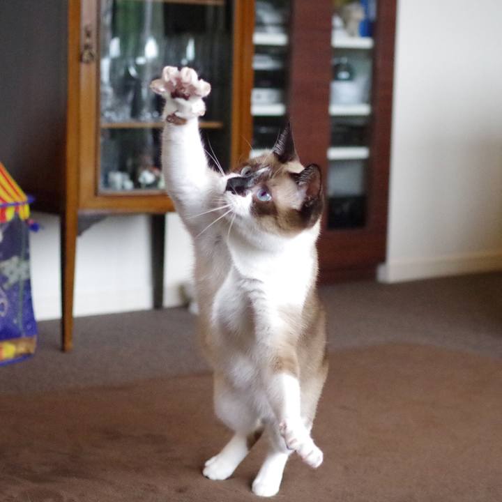 9bae6dc0 23a5 4cfb b7a9 46a86eef1229