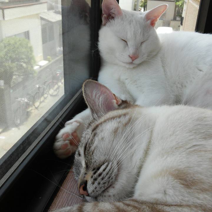 9baf0c99 8d68 4dd5 8a89 be73307ce20c