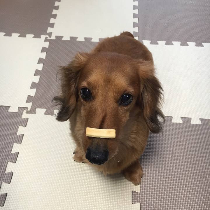 9baf2c76 0152 4064 a031 415d41cc41ef