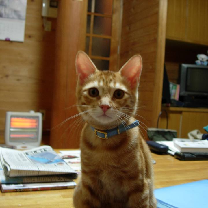 9bafb6b1 12fe 4859 bdbc d4095dfcd6c2