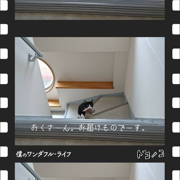 9bb14609 18ba 4cb8 8d54 241b8d5cfb40