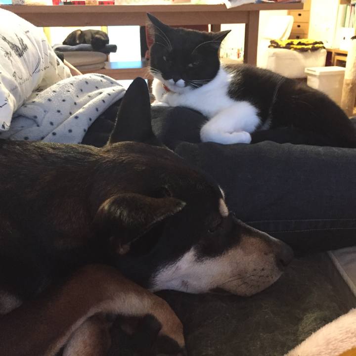 9bb1dcba f162 4d77 8af8 833a3b7237c3