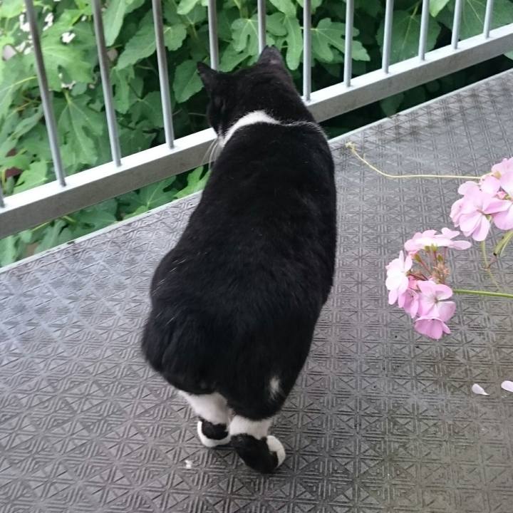 9bb1fb15 2322 4f1c 8c95 9156dade3a2b