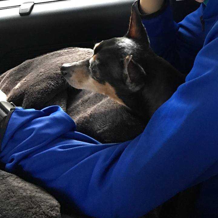 9bb21314 a54b 4ffc 8e2b 03db8f01b68c